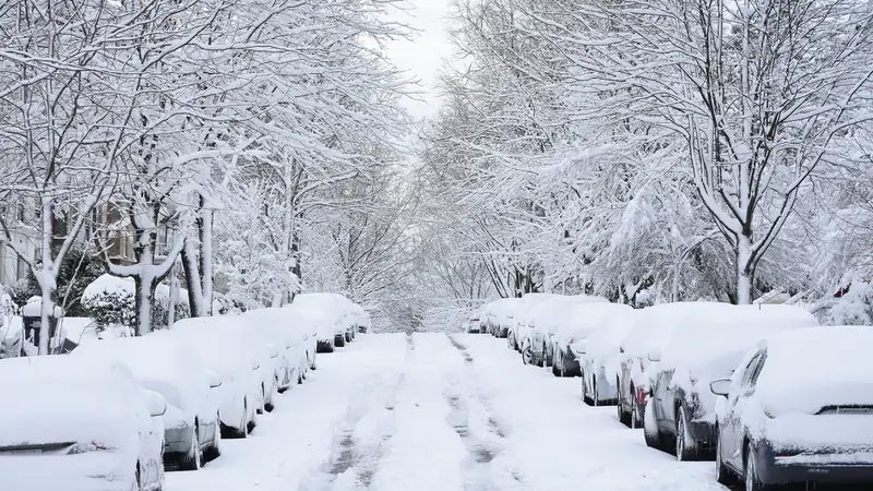 Snow-covered residential street lined with parked cars and snowy trees